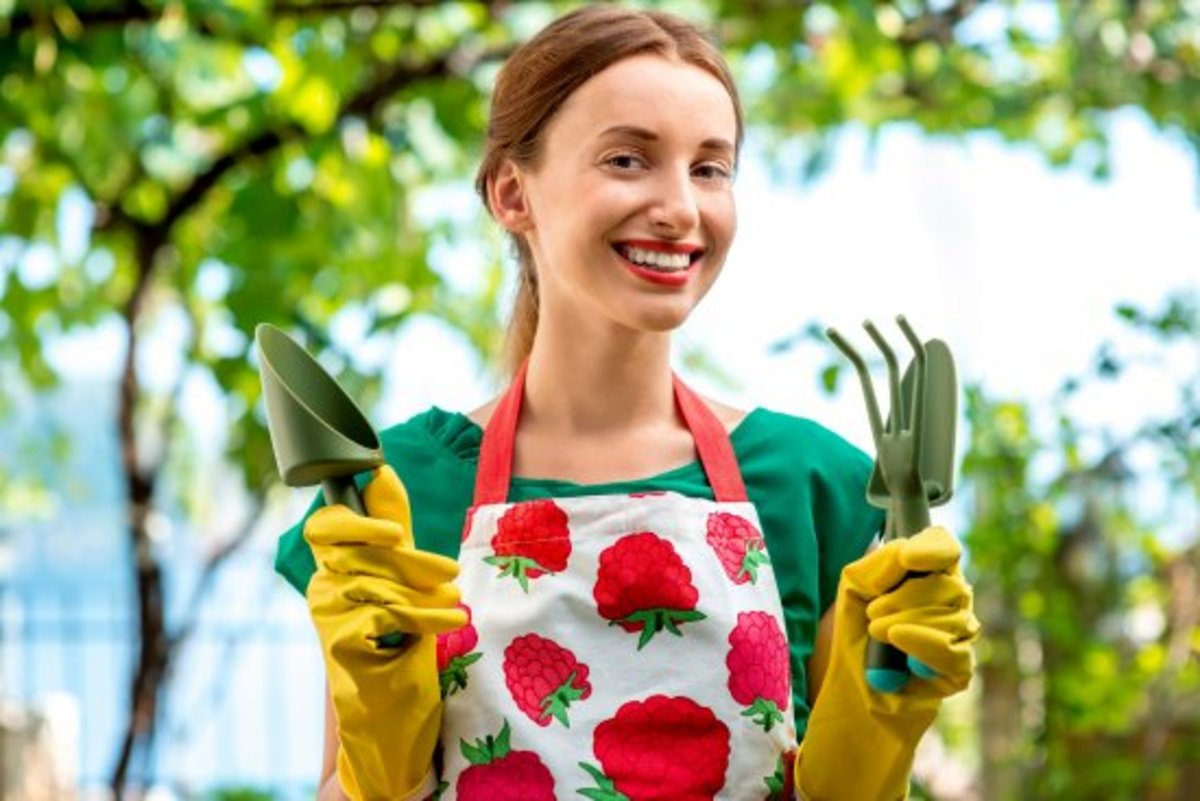 Tuinadvies voor beginners