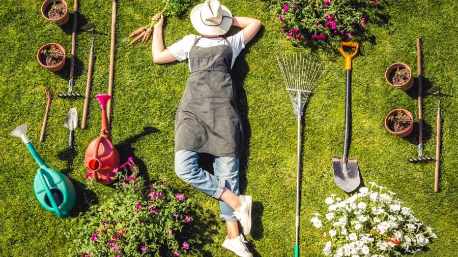 Tuinadvies voor nieuwe huiseigenaren