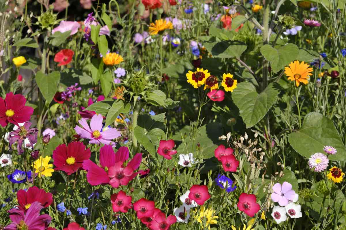 Boeket bezorgen in Hoofddorp: waarom bloemen nog steeds de perfecte verrassing zijn