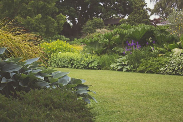 Tuingereedschapshop.nl: Alles wat je nodig hebt voor een Perfecte Tuin